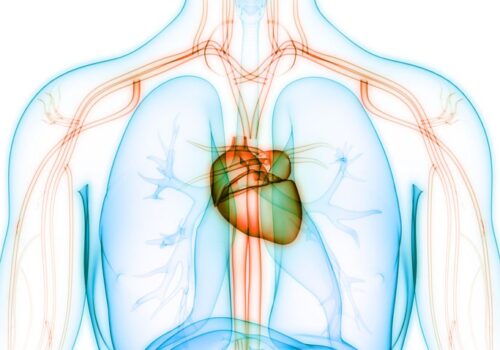 Detection of atrial fibrillation in older people feasible by using wearable device