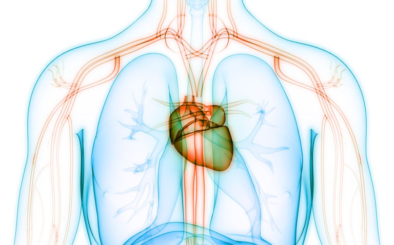 Detection of atrial fibrillation in older people feasible by using wearable device