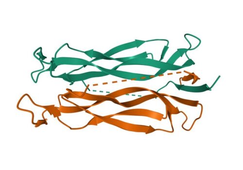 Cosentyx approved in the US for psoriasis in children