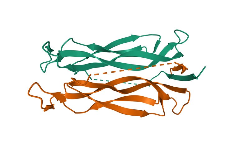 Cosentyx approved in the US for psoriasis in children