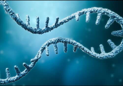 microRNAs in distinguishing myocarditis and myocardial infarction