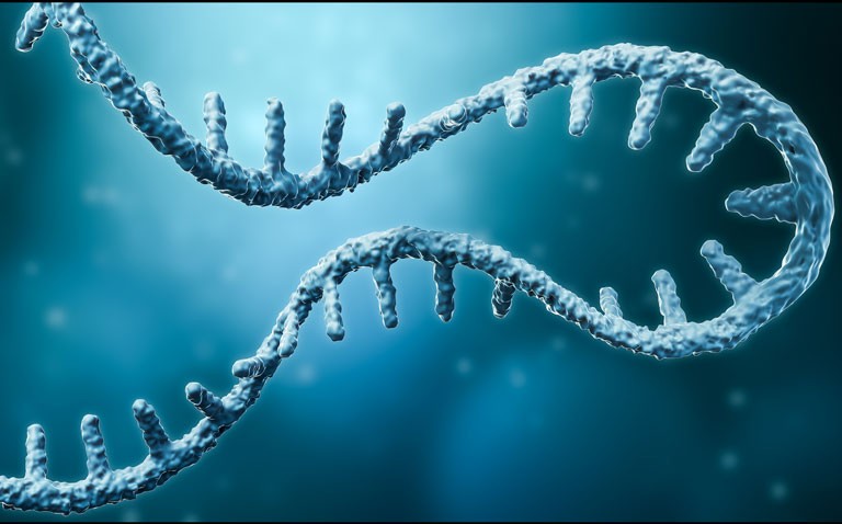 microRNAs in distinguishing myocarditis and myocardial infarction