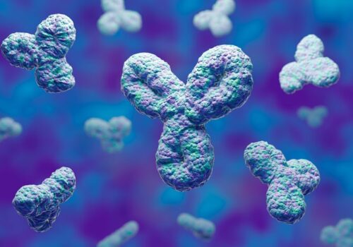 Nivolumab improves survival in patients with mesothelioma