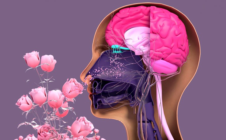 olfactory test covid