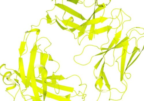 infliximab and COVID antibody response