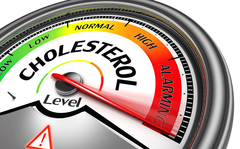high cholesterol
