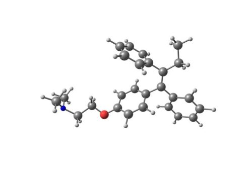 tamoxifen and tumour size in breast cancer survival