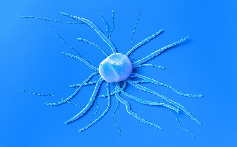 colorectal cancer and dietary factors