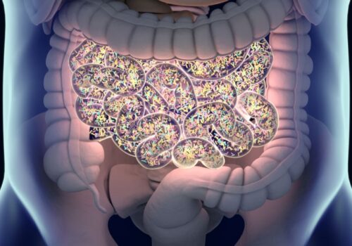 gut microbiota