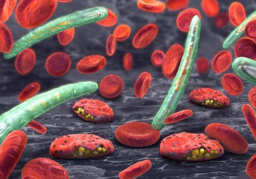 malaria vaccine candidate achieves efficacy in children