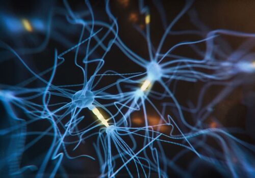 Cognitive decline and tau protein in Alzheimer's|cognitive decline