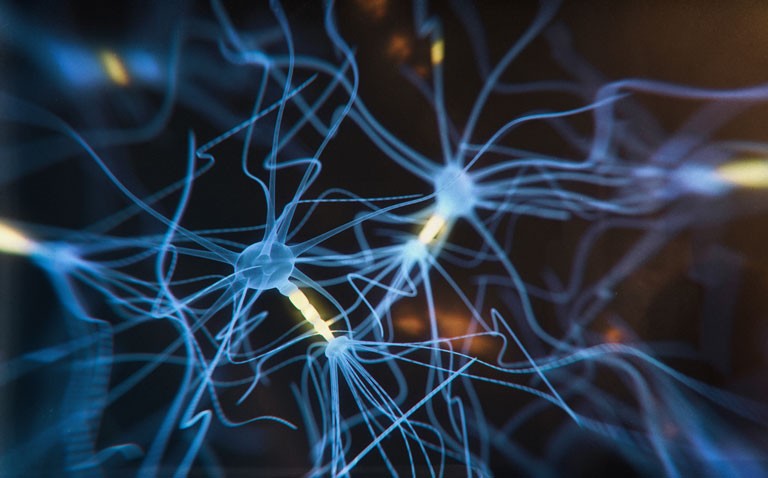 Cognitive decline and tau protein in Alzheimer's|cognitive decline