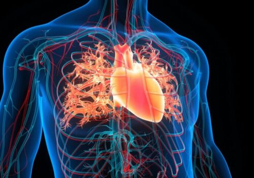 Higher liver stiffness persists several months after COVID-19 infection|Heart failure risk increased following COVID-19 infection|Heart-failure-risk-increased-following-COVID-19-infection|Dextromethorphan premedication reduces cough in bronchoscopy