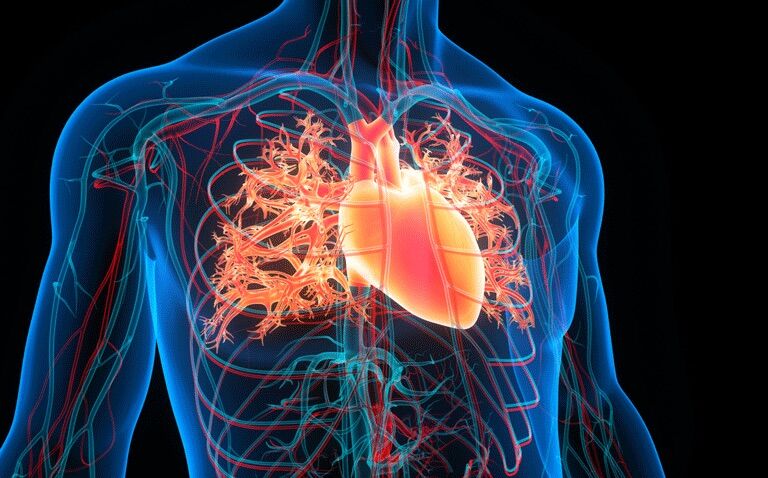 Higher liver stiffness persists several months after COVID-19 infection|Heart failure risk increased following COVID-19 infection|Heart-failure-risk-increased-following-COVID-19-infection|Dextromethorphan premedication reduces cough in bronchoscopy