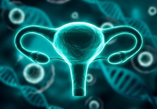 A digital illustration of a female reproductive system with DNA strands out of focus in the background to illustrate high-risk ovarian cancer surveillance versus surgery with insights into ROCA testing