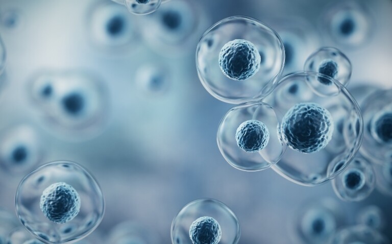 A 3D rendering of embryonic stem cells to illustrate a new hematoid model as a blueprint for future stem cell therapies