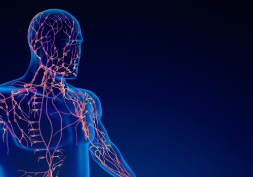 A 3D digital illustration of the human lymphatic system to illustrate the finding that imaging outperforms clinical examination in cSCC nodal staging