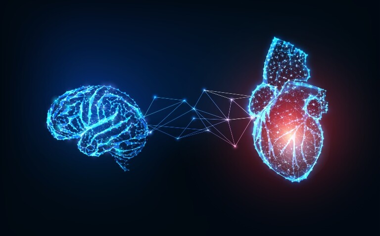 A wire frame illustration of a human brain and heart connected by a line and dot structure to illustrate the connection between mental disorders and increased risk of acute coronary syndrome