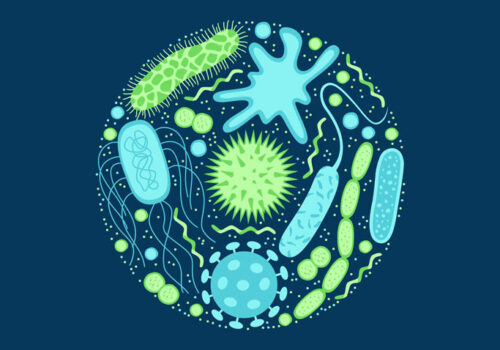 Viruses and bacteria icons set isolated on a blue background to illustrate the finding that obesity is associated with one in 10 deaths from infection