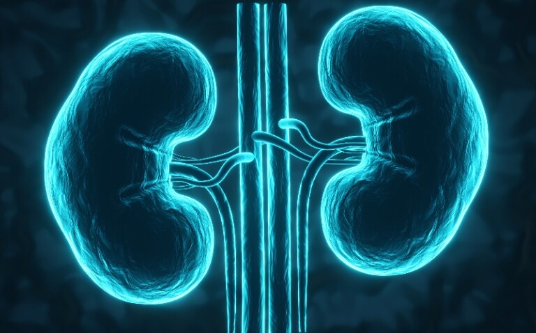 A digital illustration of glowing human kidneys on a blue background to illustrate the NICE approval of obinutuzumab for lupus nephritis