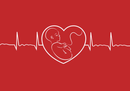 Paying attention to cardiovascular health in pregnancy Dr Hannah Douglas cardiologist