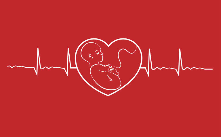 Paying attention to cardiovascular health in pregnancy Dr Hannah Douglas cardiologist