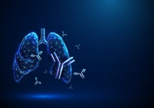 A digital illustration of a wireframe pair of human lungs surrounded by monoclonal antibodies to illustrate research looking into real-world evidence for severe asthma biologics