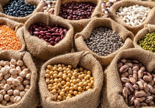 Assorted legumes in burlap sacks in a row to illustrate the finding that plant-based macronutrient sources are linked to lower psoriasis severity