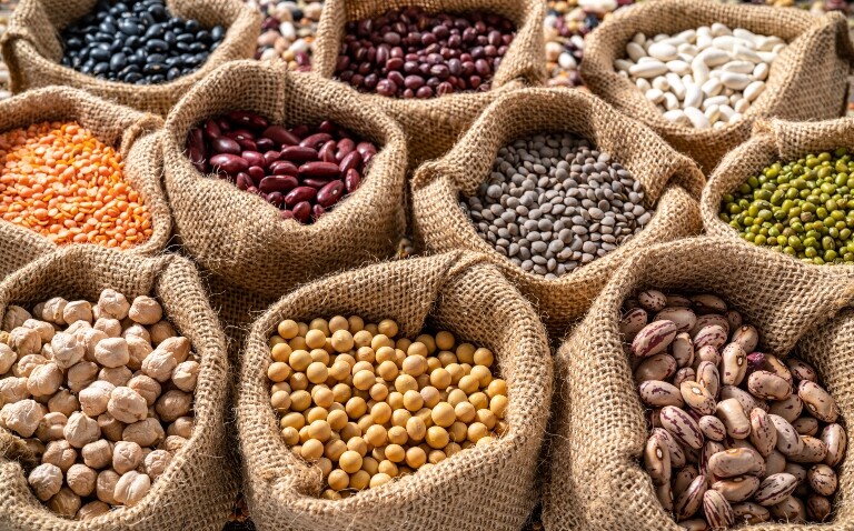 Assorted legumes in burlap sacks in a row to illustrate the finding that plant-based macronutrient sources are linked to lower psoriasis severity