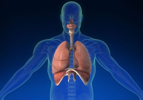 Point-of-care test identifies bacterial and viral causes of acute respiratory infections