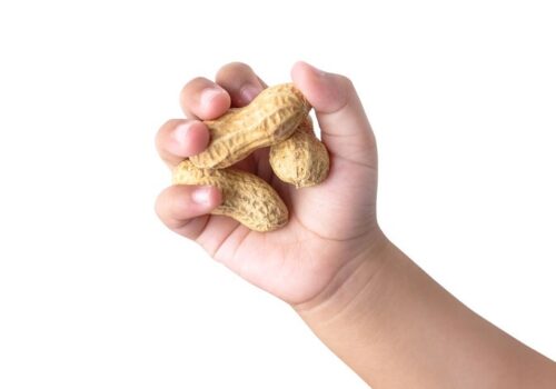 Probiotics added to peanut oral immunotherapy has no effect on remission but reduces GI symptom burden