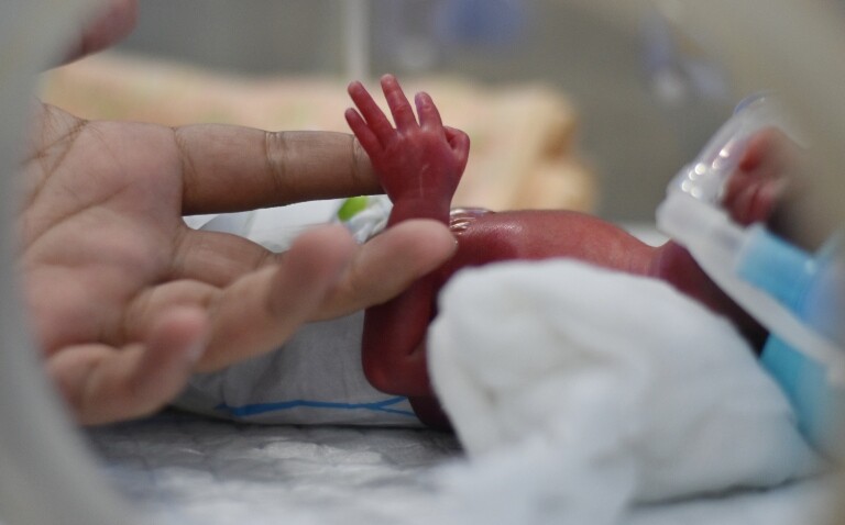 A premature baby in an incubator with a parent's hand holding theirs to illustrate the impact of prophylactic hydrocortisone on BPD-free survival in extremely preterm infants