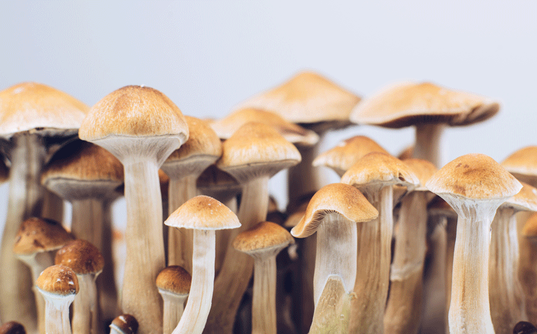 Psilocybin effective for treatment-resistant major depression