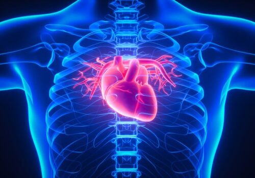 Real-world analysis reveals high level of recurrent cardiovascular events and death 6 months after primary episode