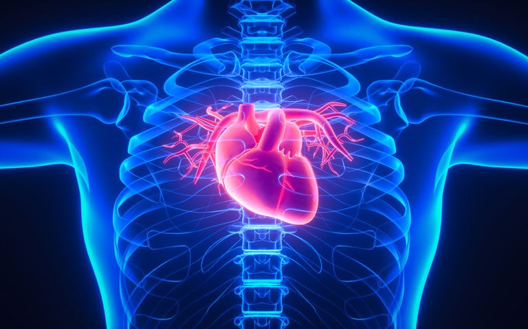 Real-world analysis reveals high level of recurrent cardiovascular events and death 6 months after primary episode
