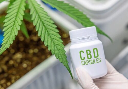 Significant placebo response to pain in cannabinoid clinical trials|Significant placebo response to pain in cannabinoid clinical trials|