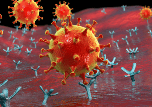 Telmisartan fails to improve disease severity among patients hospitalised with COVID-19