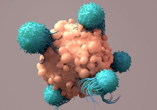 Test can personalise use of immunotherapy and chemotherapy for head and neck cancer