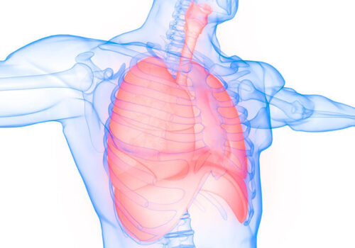 The role of AI in transforming lung cancer care |The role of AI in transforming lung cancer care - Dr Sumeet Hindocha|The role of AI in transforming lung cancer care - Dr Sumeet Hindocha