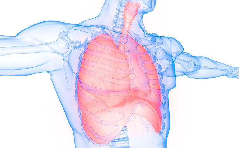 The role of AI in transforming lung cancer care |The role of AI in transforming lung cancer care - Dr Sumeet Hindocha|The role of AI in transforming lung cancer care - Dr Sumeet Hindocha