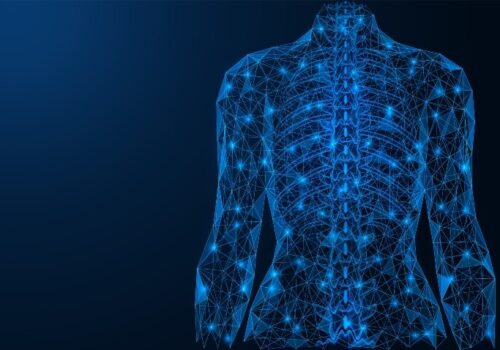 A wire frame digital illustration of a human torso with the spine visible to illustrate the NICE recommendation for vertebral fracture assessments to be carried out alongside routine DXA bone density scans for osteoporosis