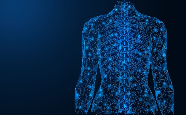 A wire frame digital illustration of a human torso with the spine visible to illustrate the NICE recommendation for vertebral fracture assessments to be carried out alongside routine DXA bone density scans for osteoporosis