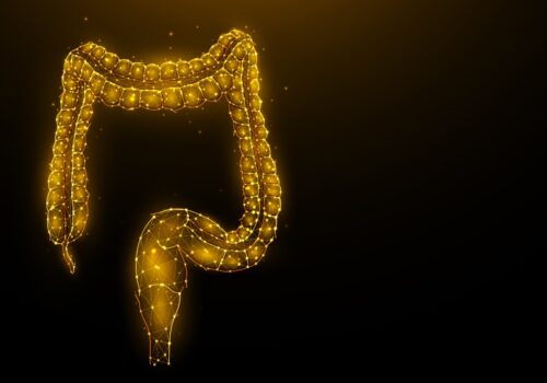 Abstract polygonal illustration of the colon or large intestine on a dark background to illustrate the finding that use of a funnel-shaped mesh reduces parastomal hernia incidence after rectal cancer surgery