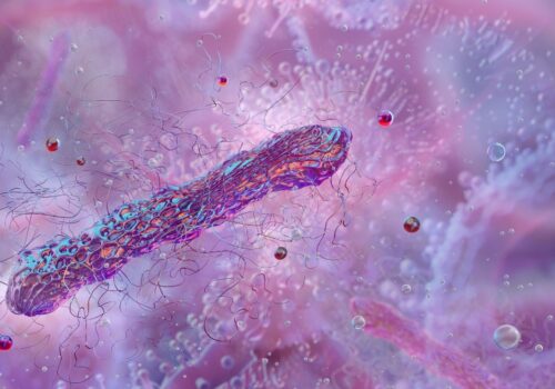A microscopic view of a Clostridioides difficile bacteria to illustrate CDI in critically ill patients
