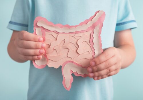 A close up of a child holding a paper cutout model of the digestive tract, showing the large and small intestines in pink and white to illustrate childhood antibiotic exposure being linked to gut microbiome disruption and increased IBD risk, particularly Crohn's disease
