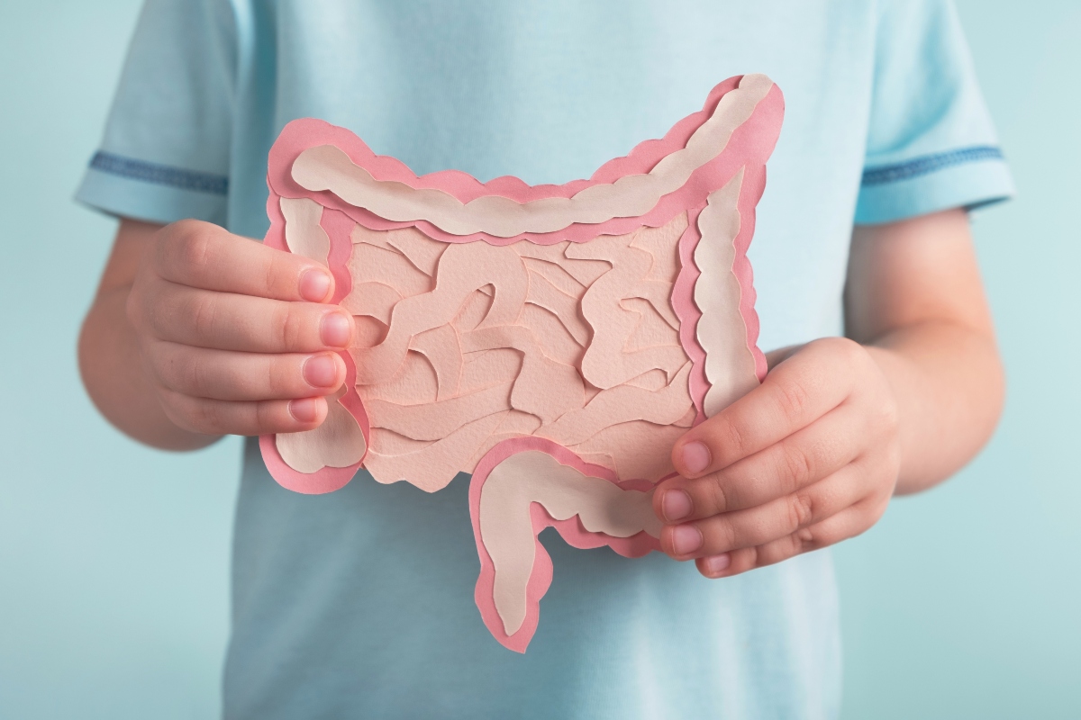 A close up of a child holding a paper cutout model of the digestive tract, showing the large and small intestines in pink and white to illustrate childhood antibiotic exposure being linked to gut microbiome disruption and increased IBD risk, particularly Crohn's disease