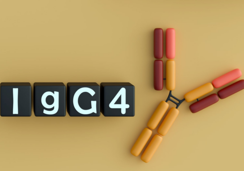 Four black blocks, each with a letter of IgG4 on them in white lettering and an illustration of an IgG4 molecule on a brown background to illustrate the finding that obexelimab reduces disease flares and glucocorticoid exposure in IgG4-RD