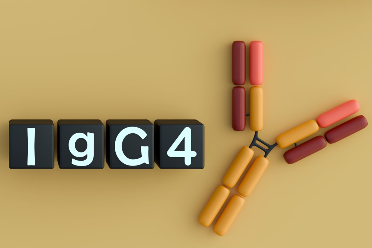 Obexelimab reduces disease flares and glucocorticoid exposure in IgG4-RD, trial finds