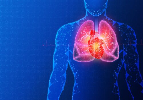 Digital illustration of a human torso outlined with blue network lines, showing glowing pink lungs and a bright red heart at the center, with an ECG waveform across a blue background, symbolising the connection between respiratory and cardiovascular health and COPD exacerbations